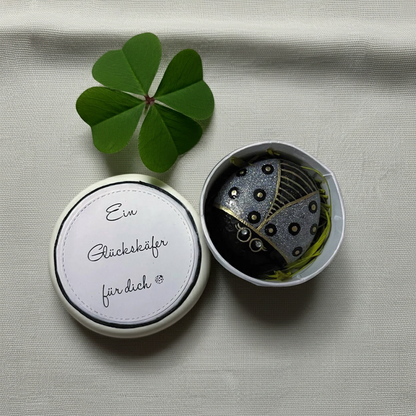 Handbemalter Stein Glückskäfer – Glücksbringer & Geschenkidee